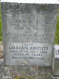 image of grave number 118838